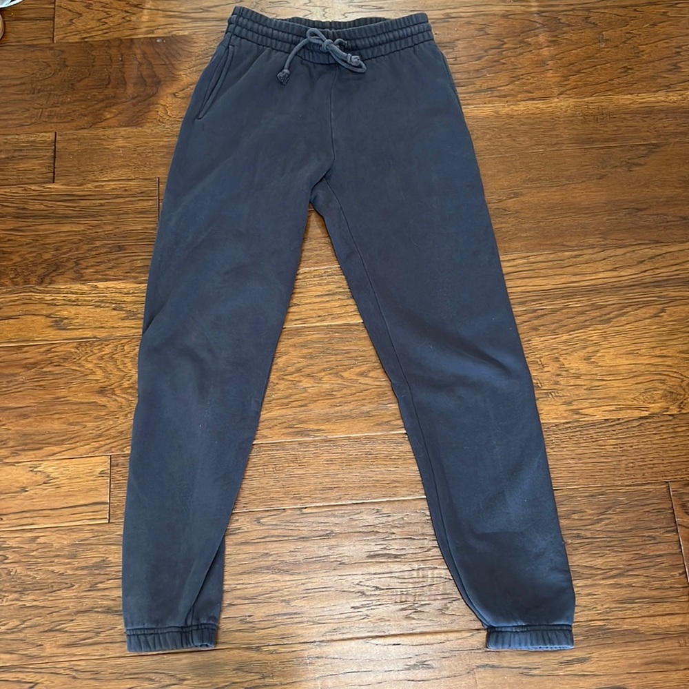Aritzia TNA sweatpants